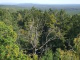 DSCF0719