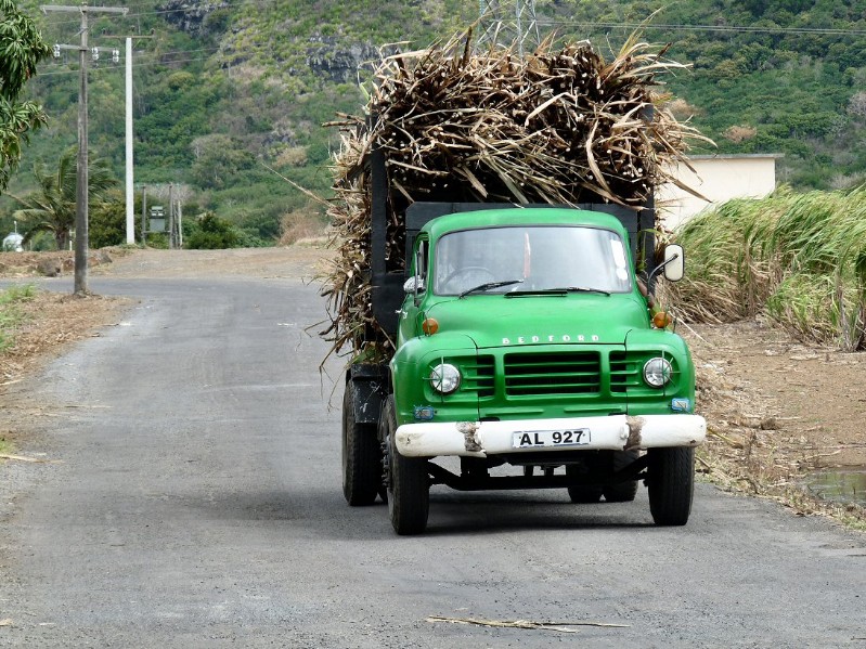 Beladener LKW mit Zuckerrohr
