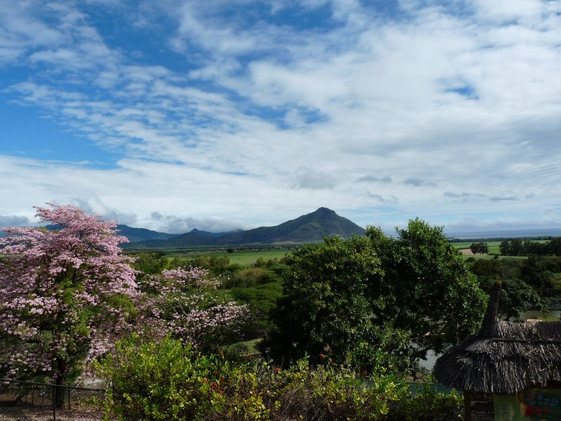 Ausblick vom Park bis zum Meer