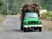 Beladener LKW mit Zuckerrohr
