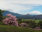 Aussicht von der Restaurantterrasse
