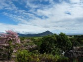 Ausblick vom Park bis zum Meer