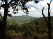 im Nationalpark
