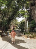 Park in Port Louis