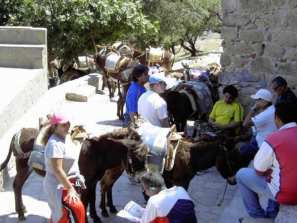 Akropolis von Lindos: Endstation fr die Esel-"Taxis"